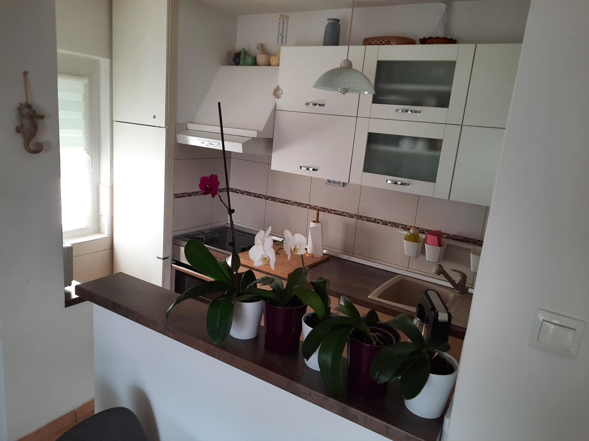 Apartments Anita Crikvenica Cameră foto